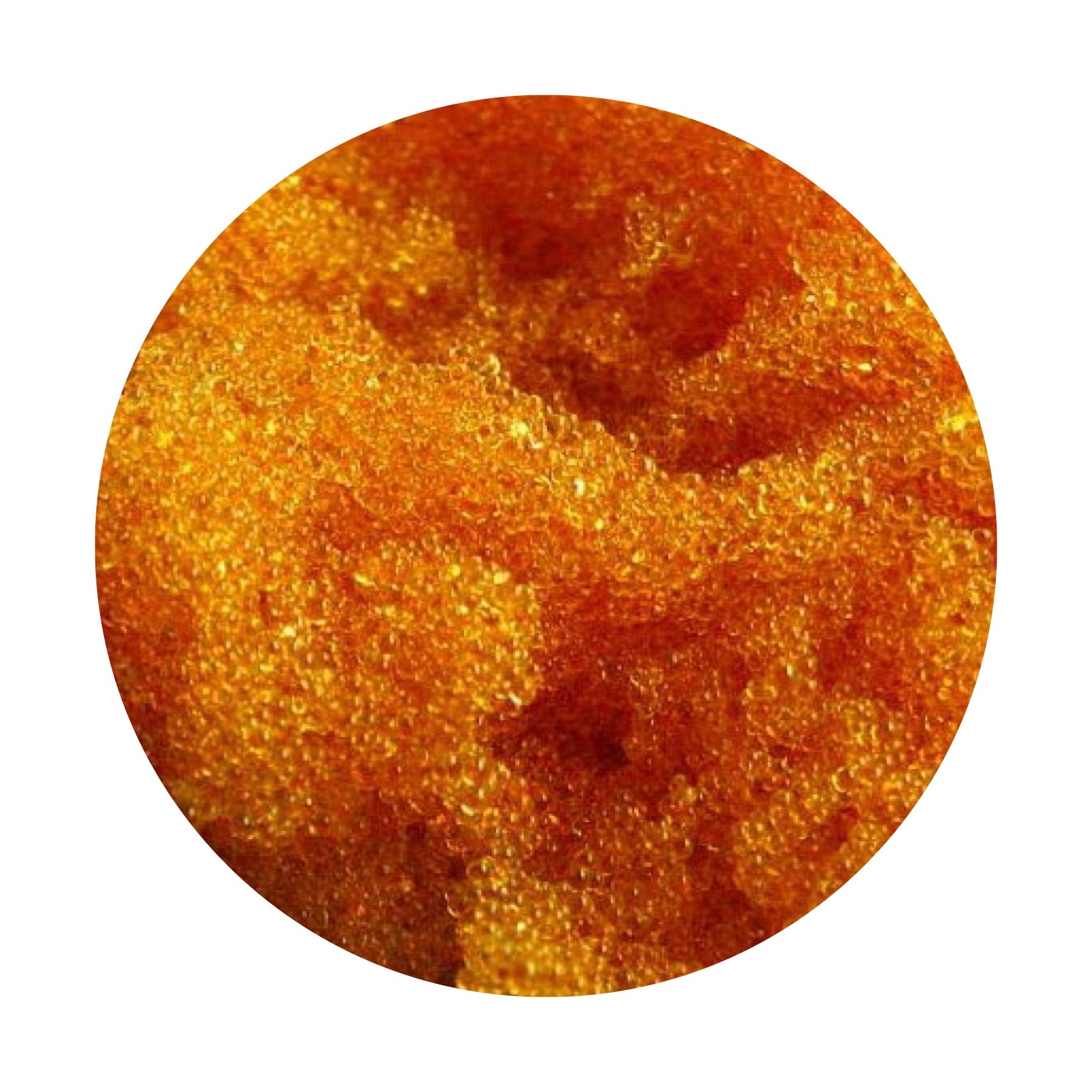 ion exchange resins